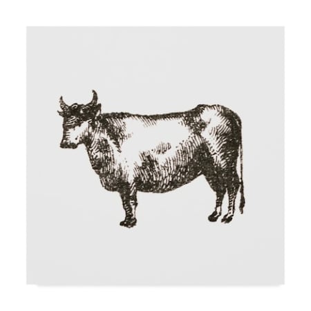 Sue Schlabach 'Farm Animal Icons Iv' Canvas Art,18x18